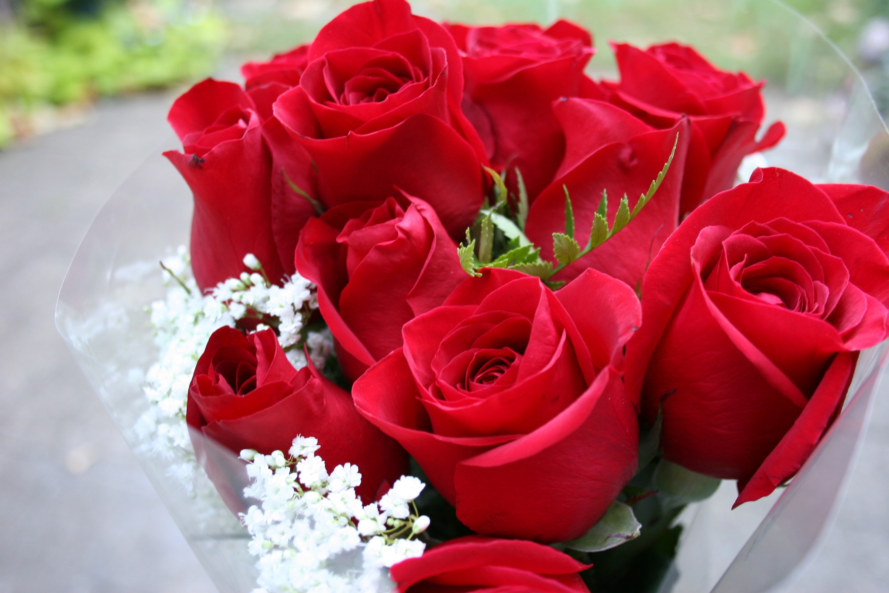 картинки красивых букетов роз любимой