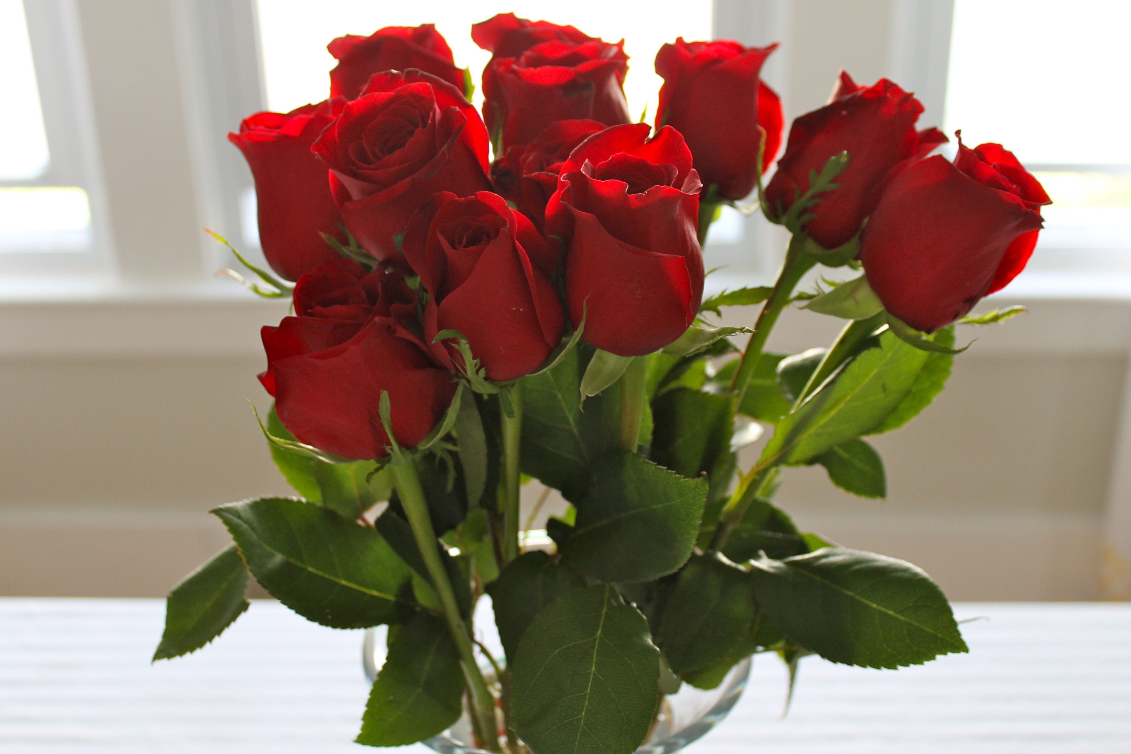 Три розы в вазе. Букет красных роз. Голландские розы.