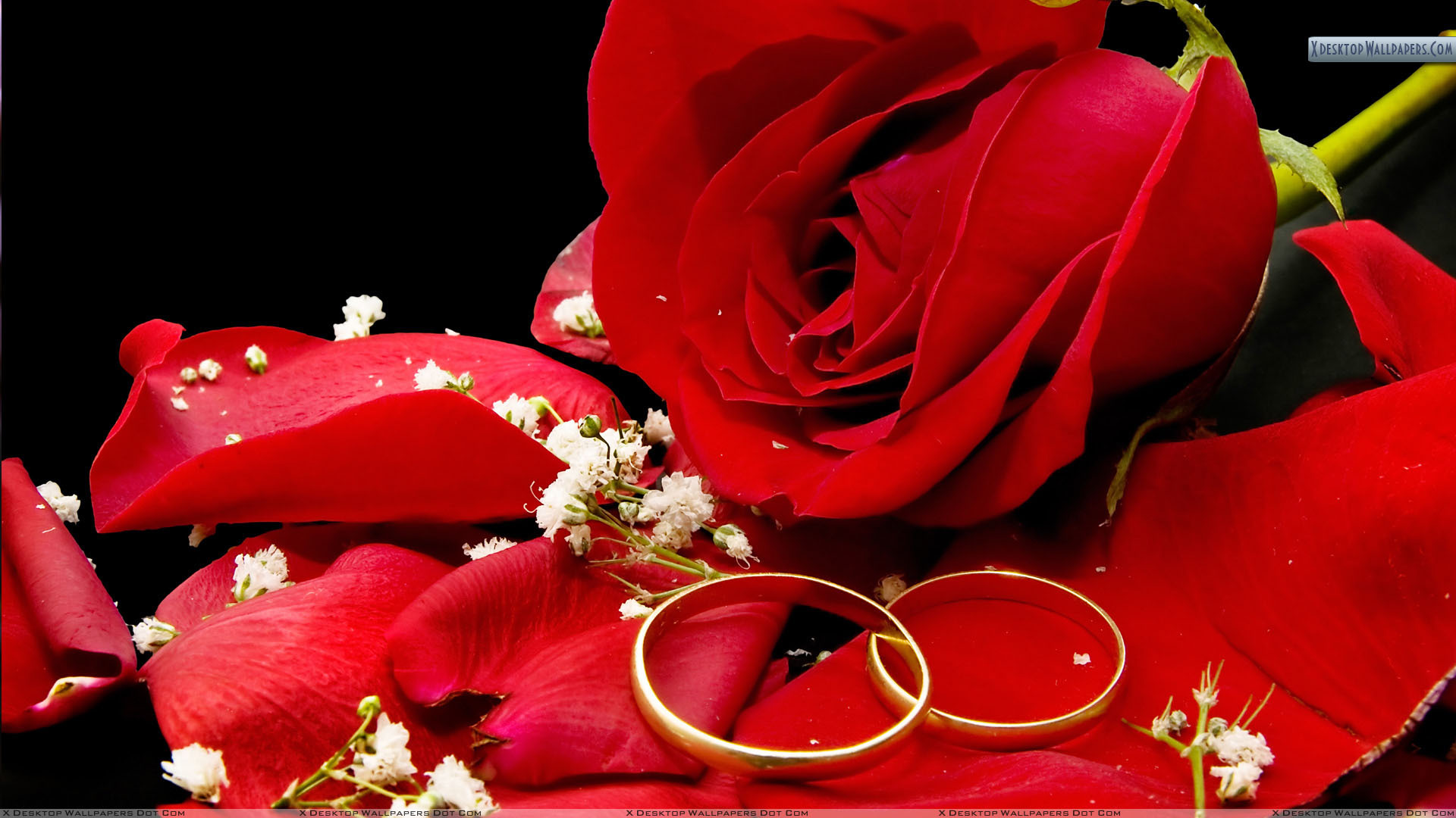 Букет красных роз с кольцом