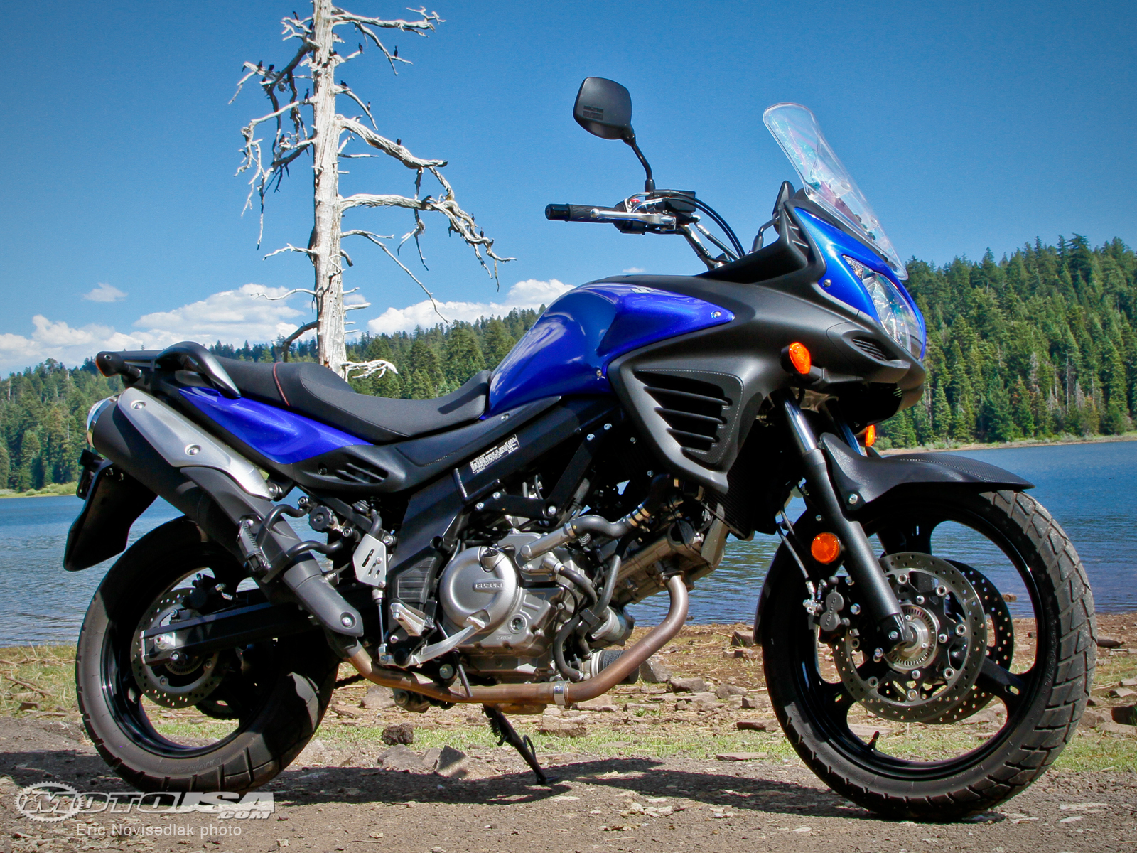 Suzuki v Storm 650 2012