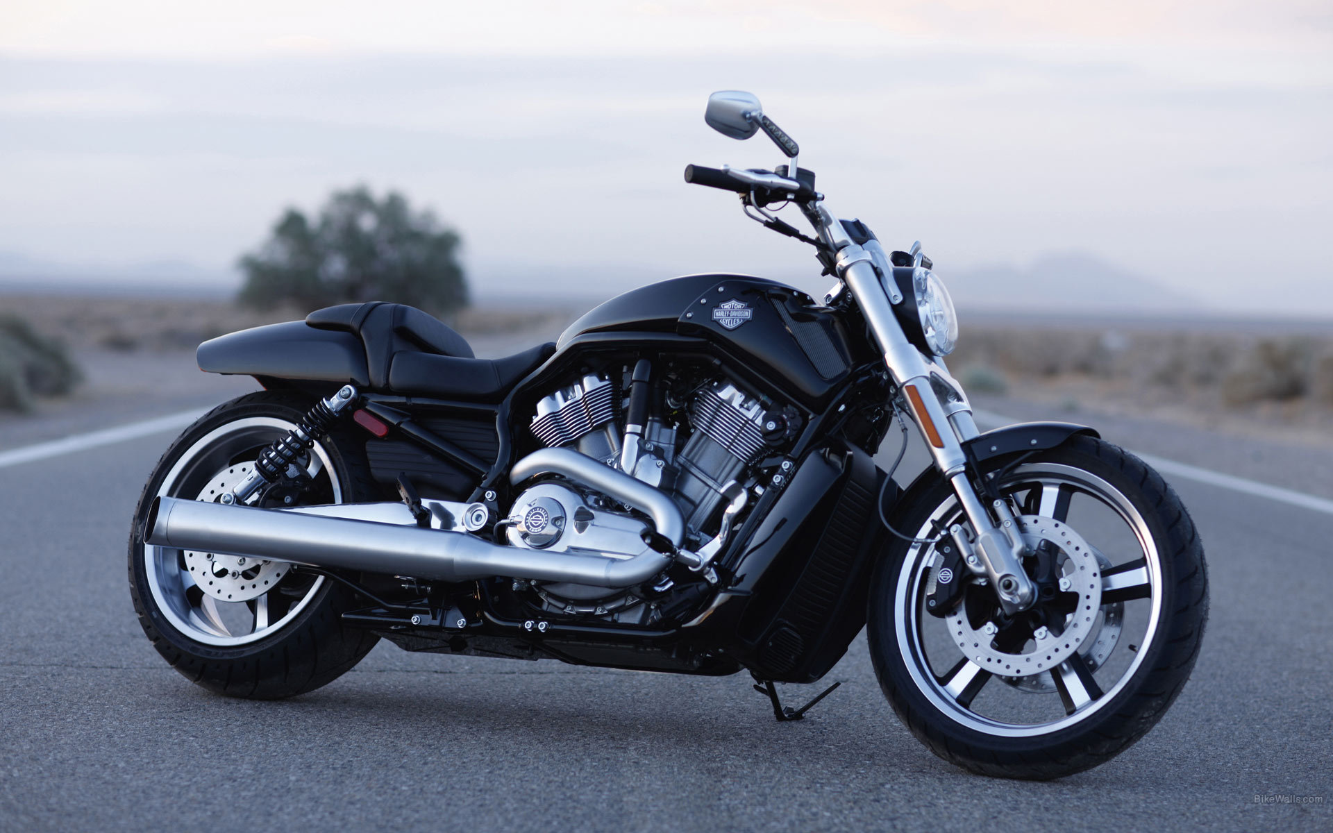 РњРѕС‚РѕС†РёРєР»С‹ Harley Davidson v Rod