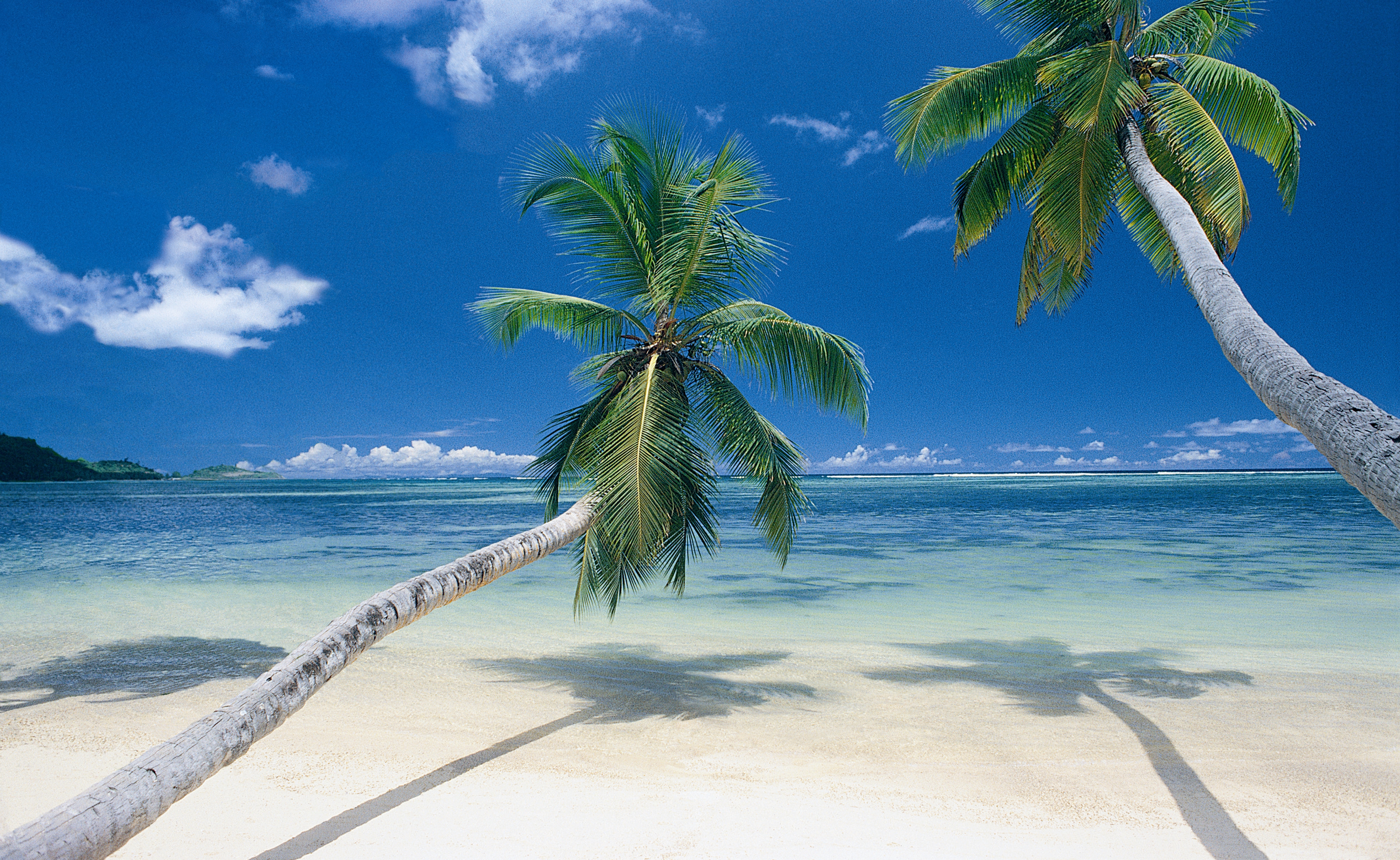 Море экзотика. Парадиз остров Карибского моря. Гавайи Мальдивы Карибы. Красивый пляж с пальмами. Красивое море.