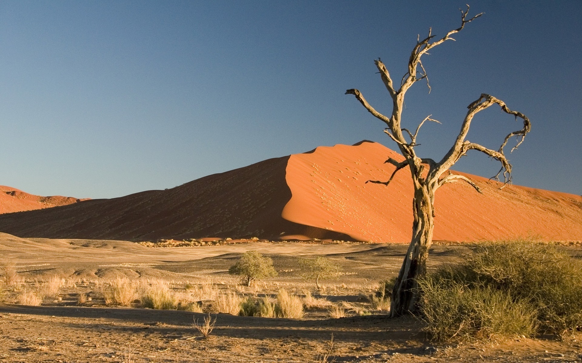 Намиб пустыня Туманов
