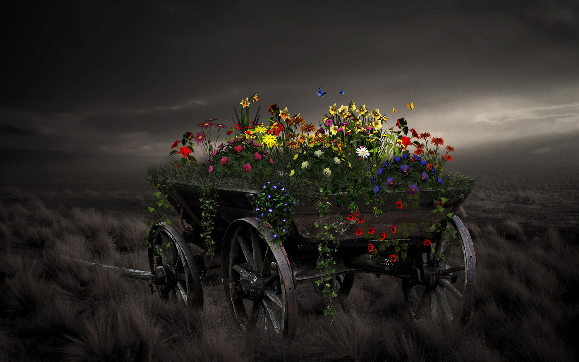 Спокойно телега. Цветы в повозке. Тележка с цветами. Повозка для цветов. Телега.