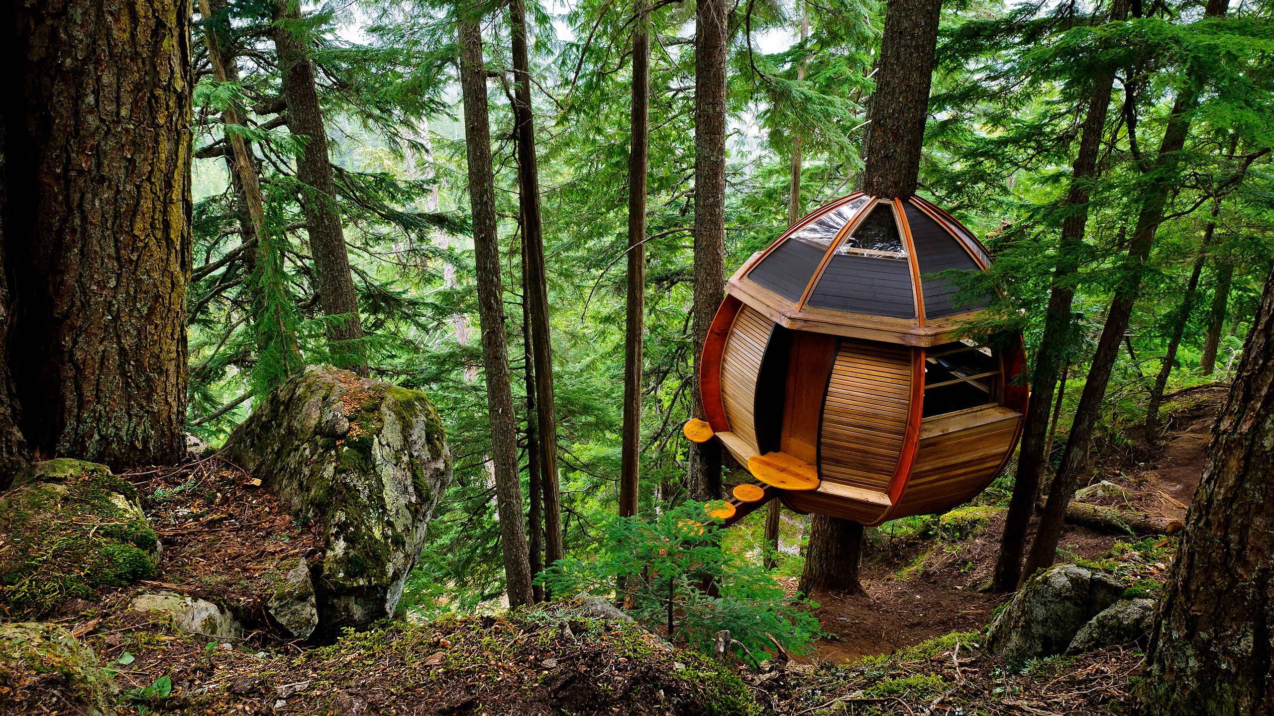 Hobbit Treehouse, США