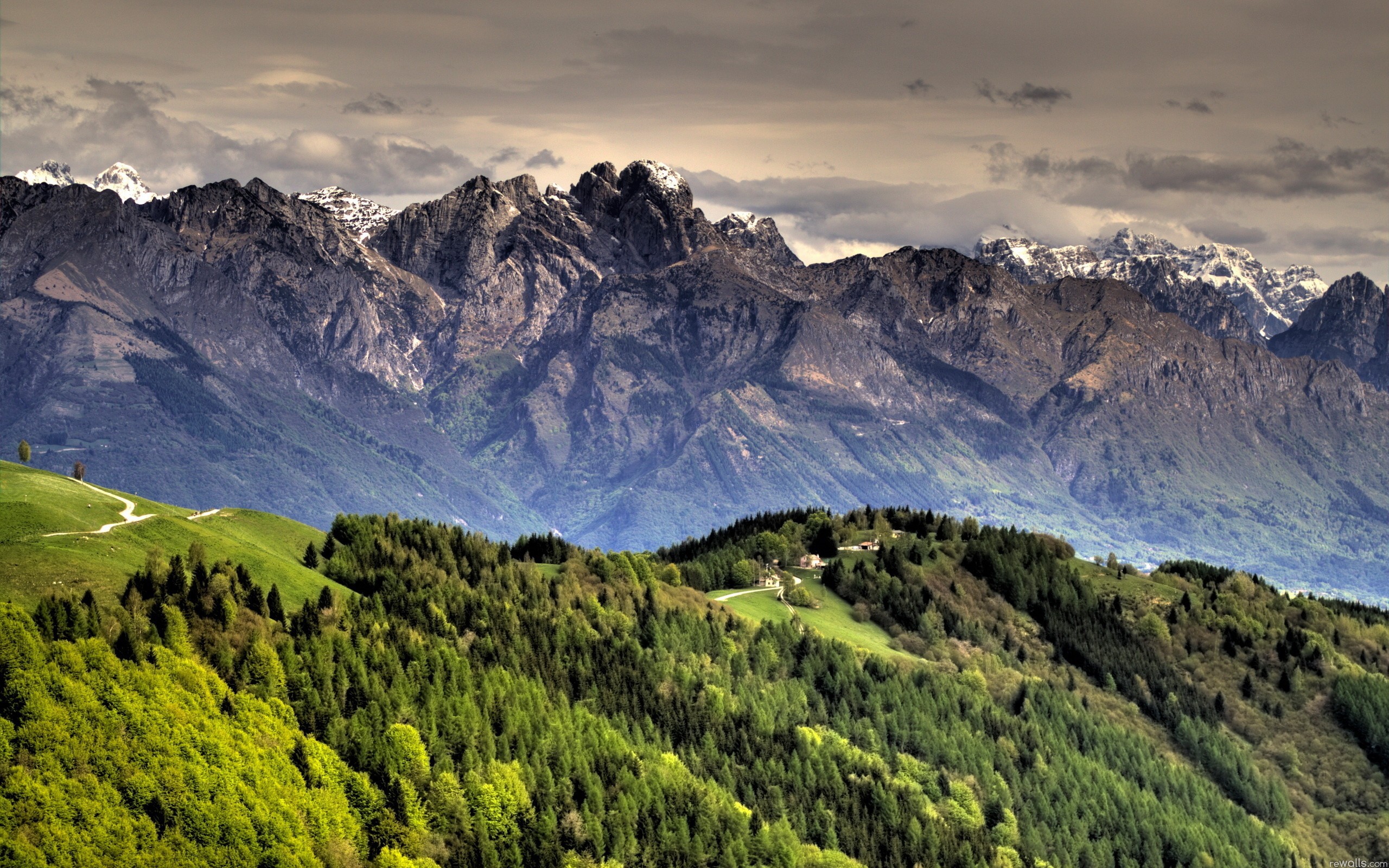 Mountain far. Грин Маунтинс хребет. Горы Сванетии. Пейзаж горы. Лес горы.