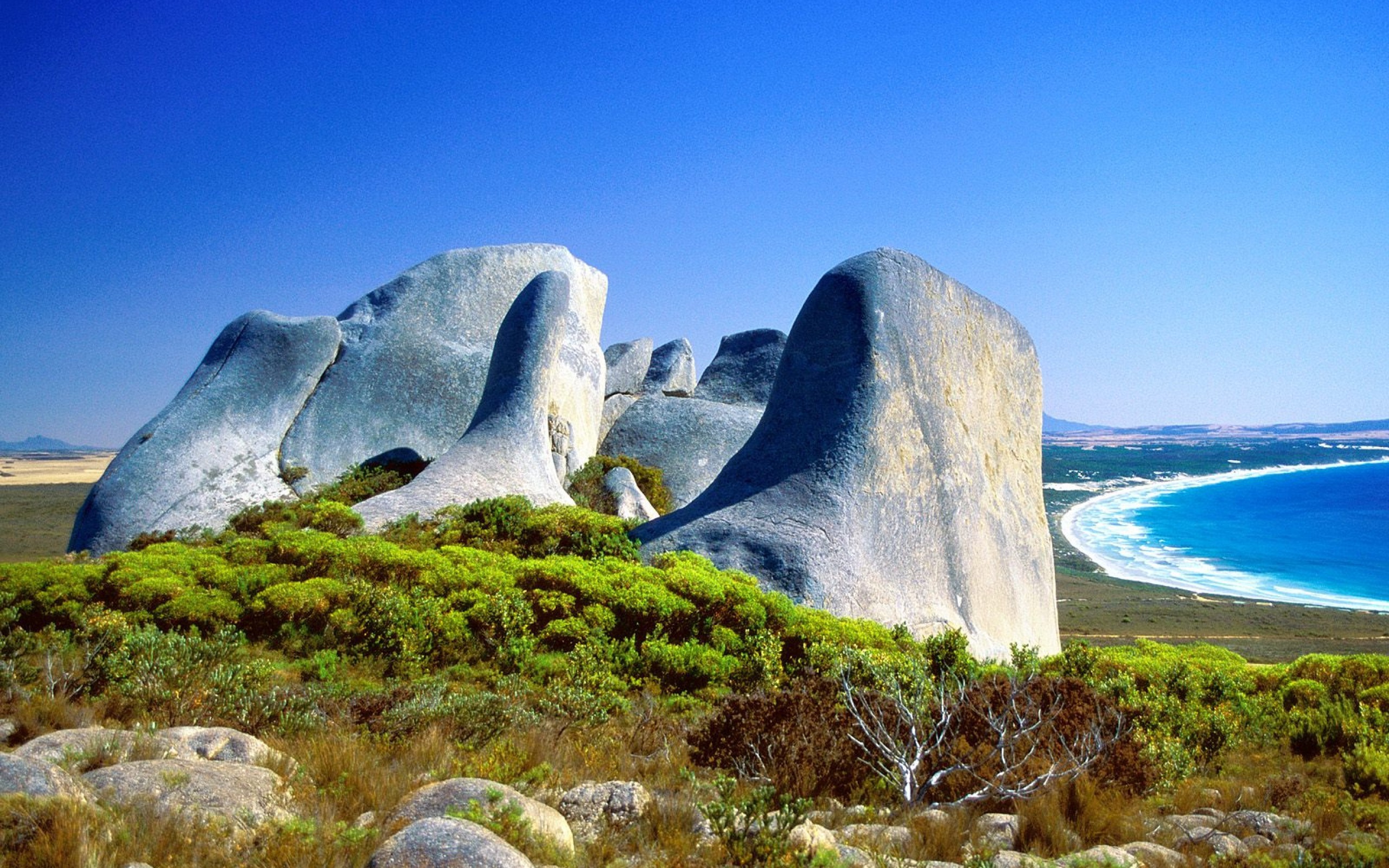 Австралия объекты живой. Австралия Континент достопримечательности. Албани (Западная Австралия). Национальный парк Флиндерс Чейз. Кресуэлл Австралия.