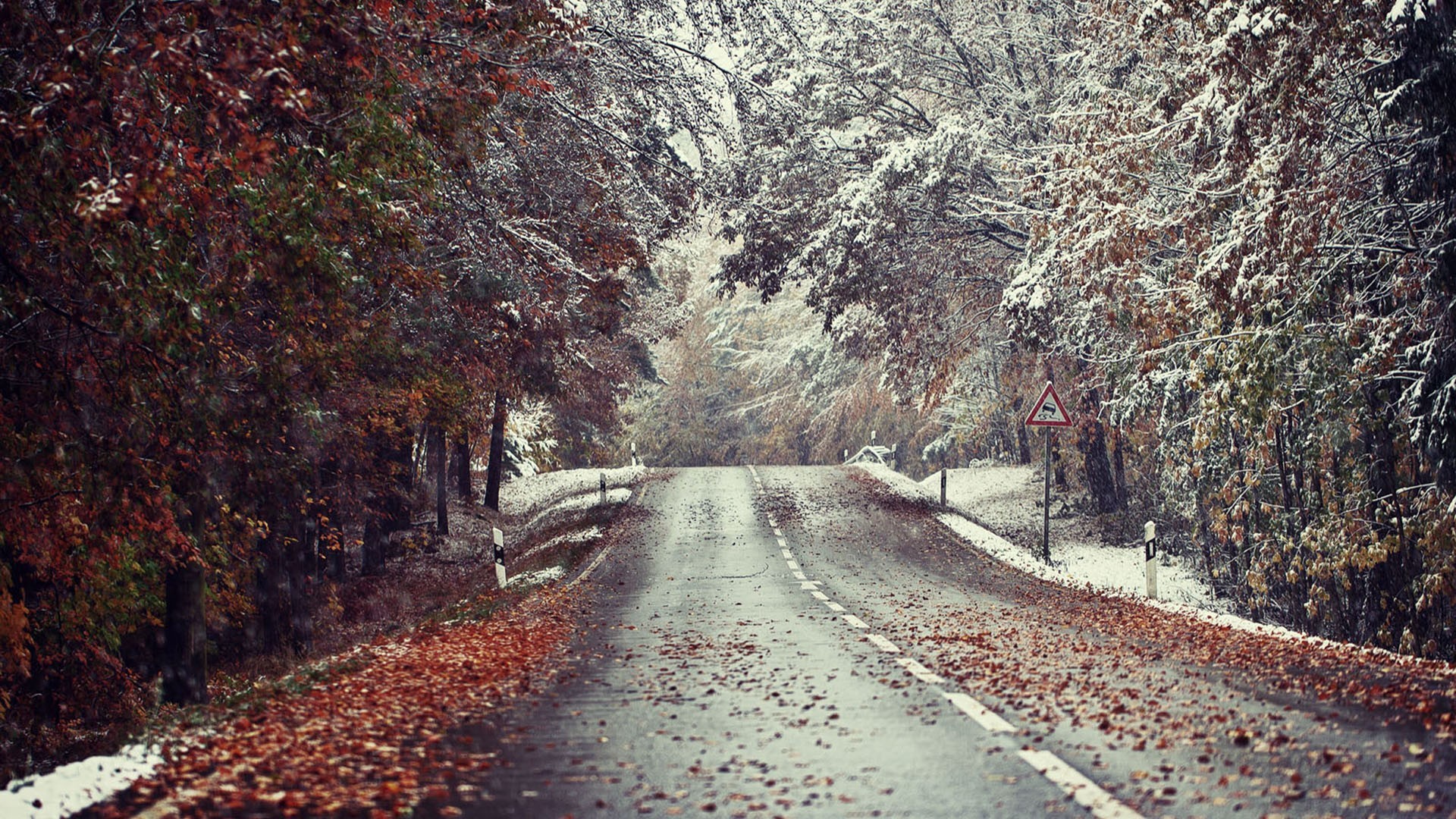 фото осень зима
