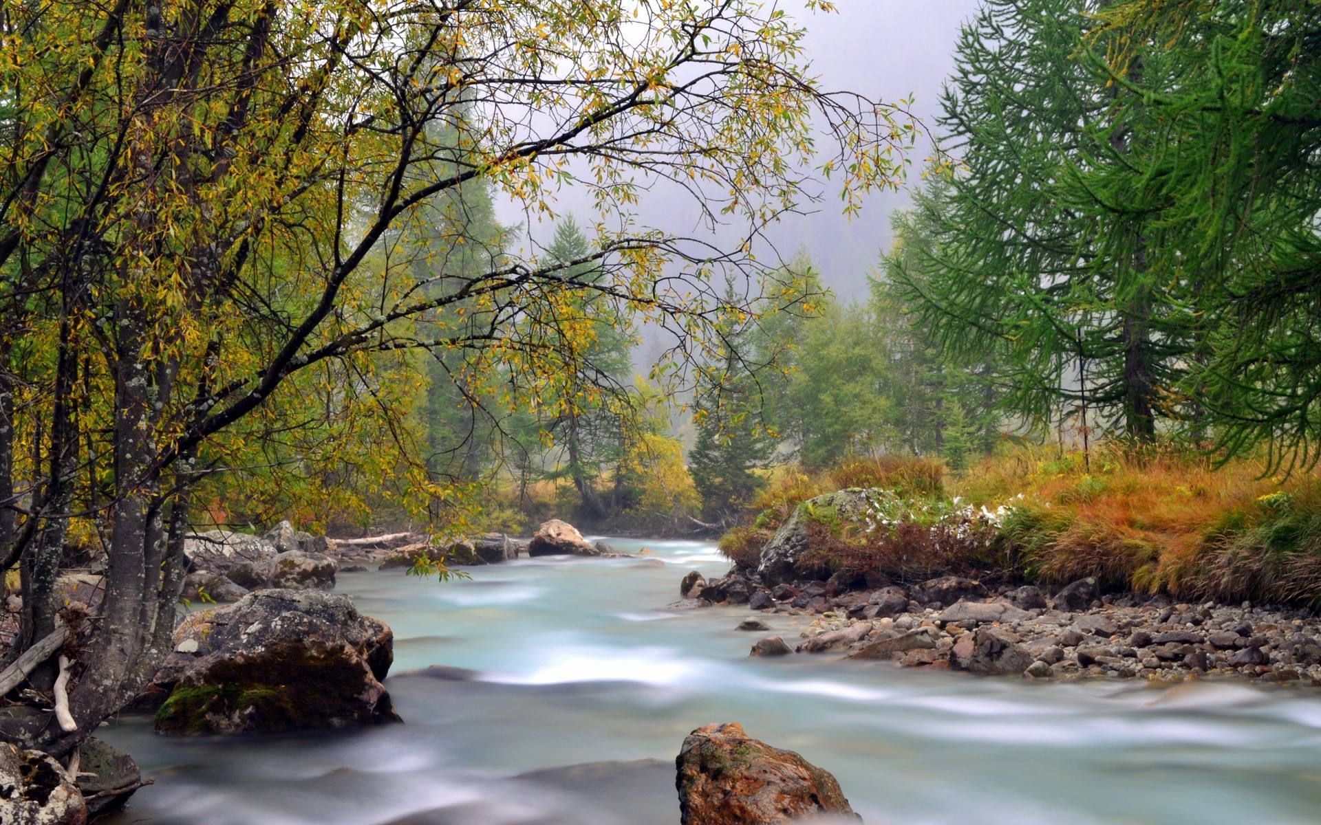 Осень ручей в горах