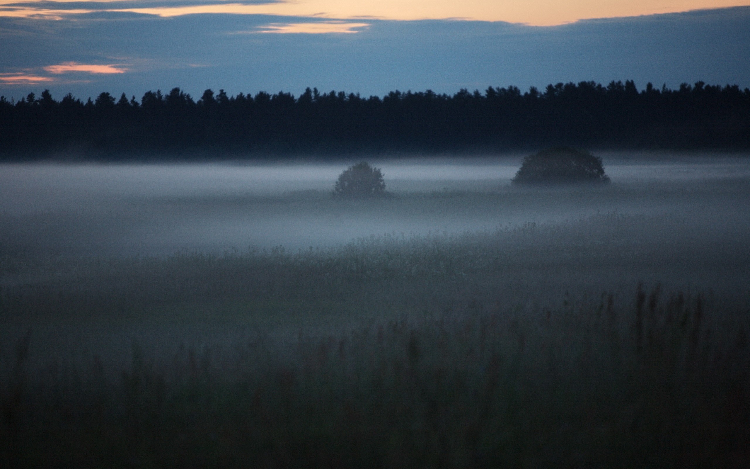Вдали был виден. Туманный пейзаж. Туман в поле ночью. Ночное поле в тумане. Мгла природа.