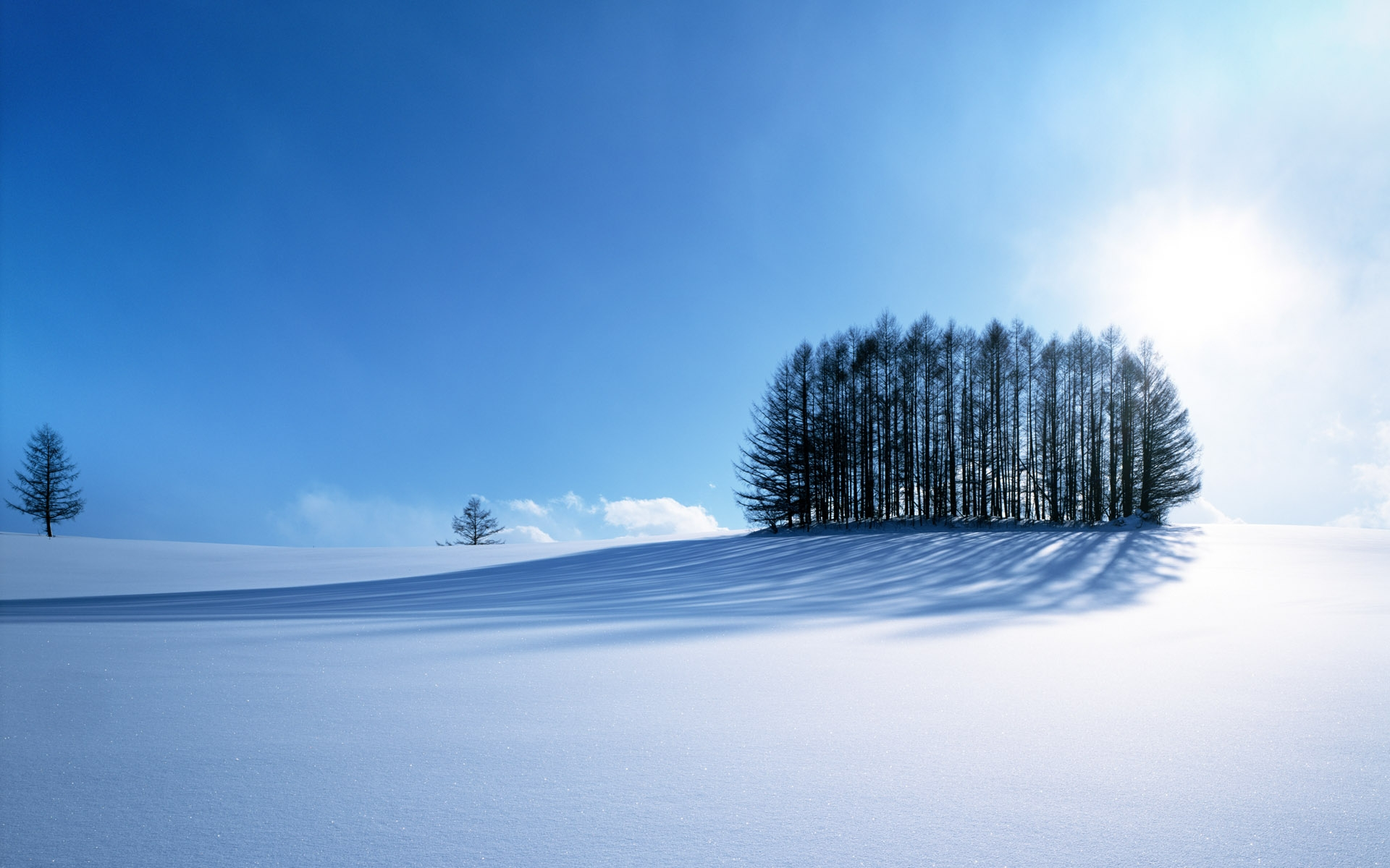 Win winter. Винтер Сноу. Зимний пейзаж. Снежная равнина. Зима снег.