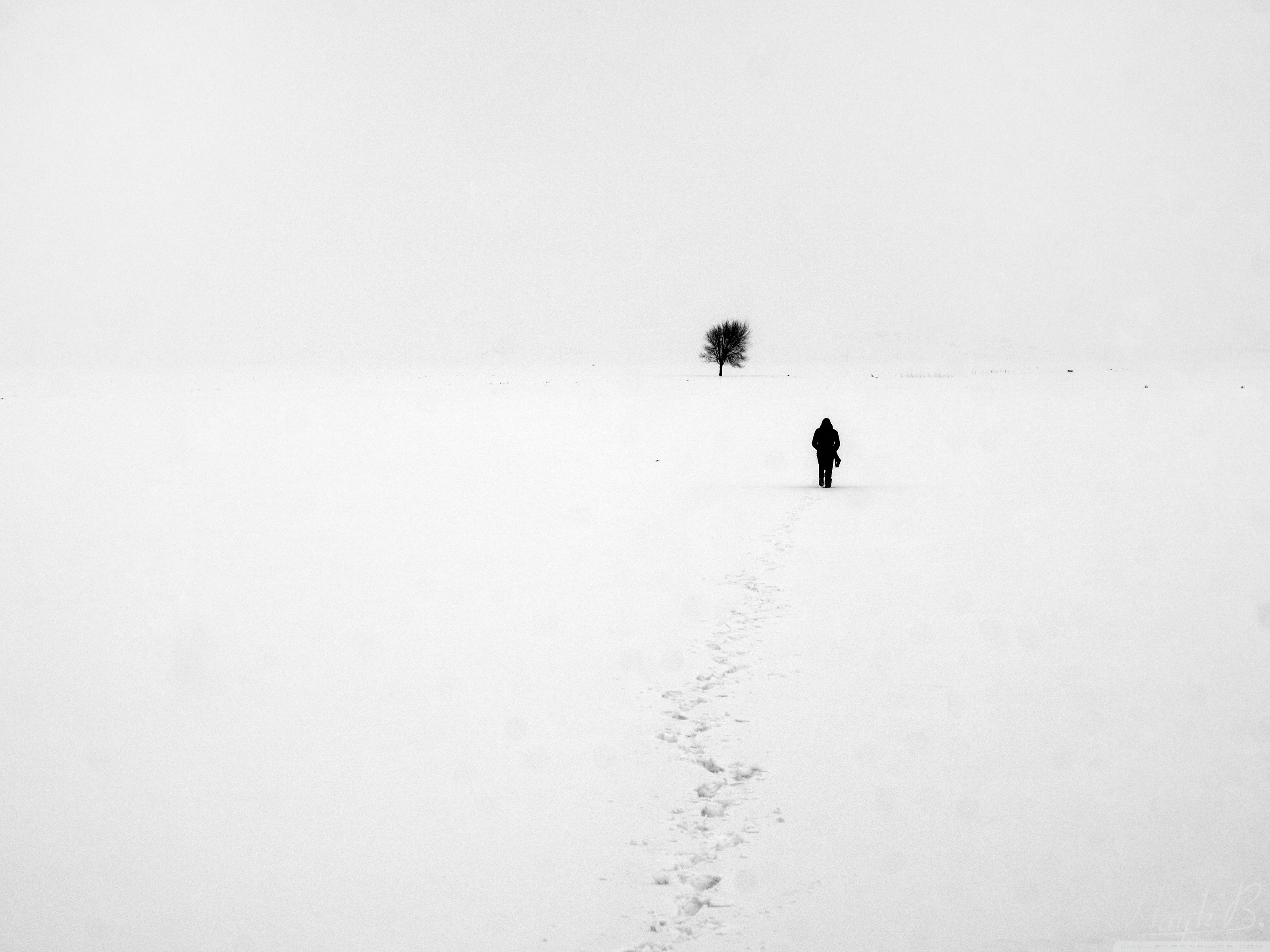 Следы в никуда. Одиночество зимой. Одинокий человек. Снег одиночество. Одиночество Минимализм.