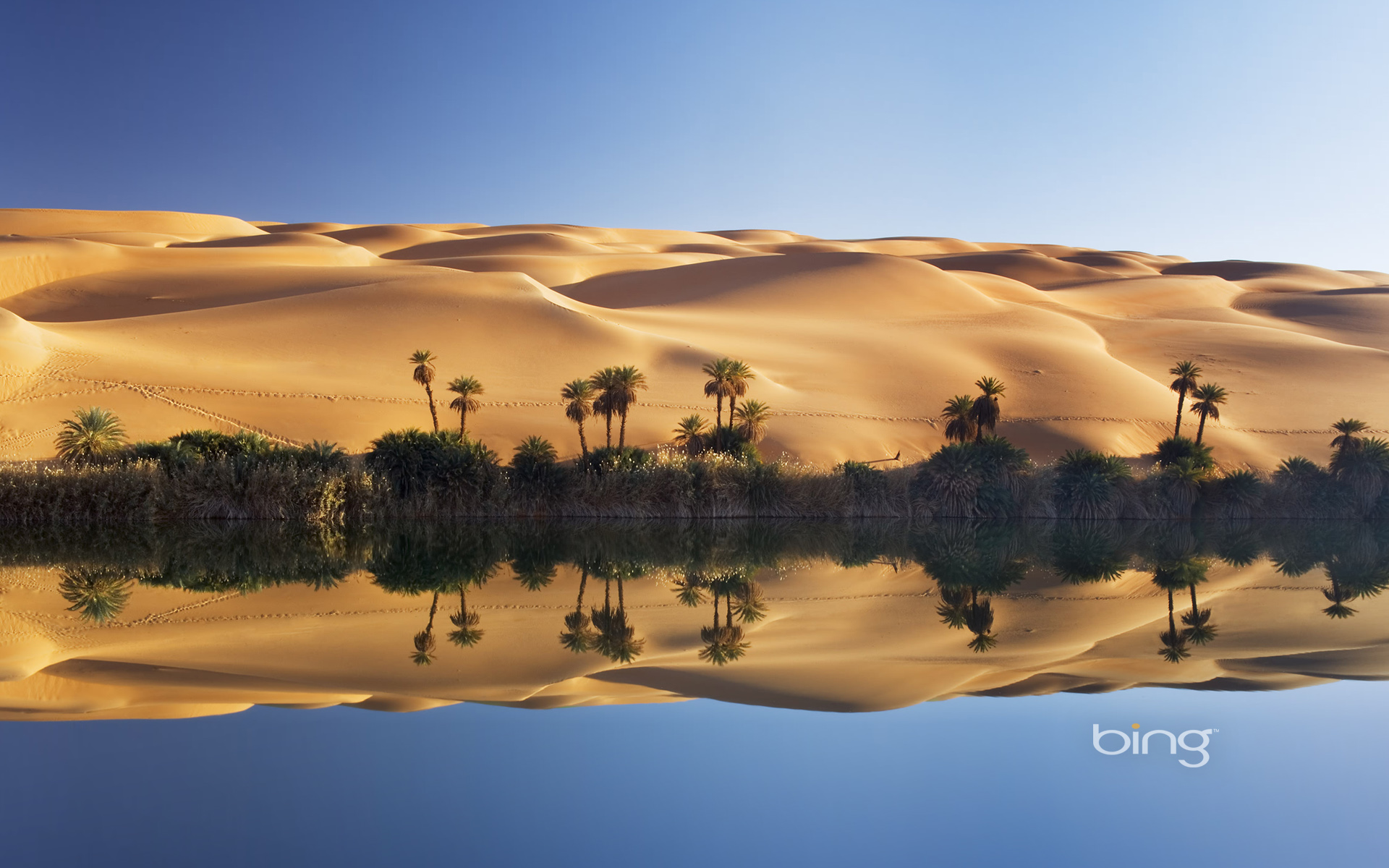 Река оазис. Оазис Убари Ливия. Озера Убари Ливия. Оазис Убари в Ливии. Пустыня сахара Оазис.