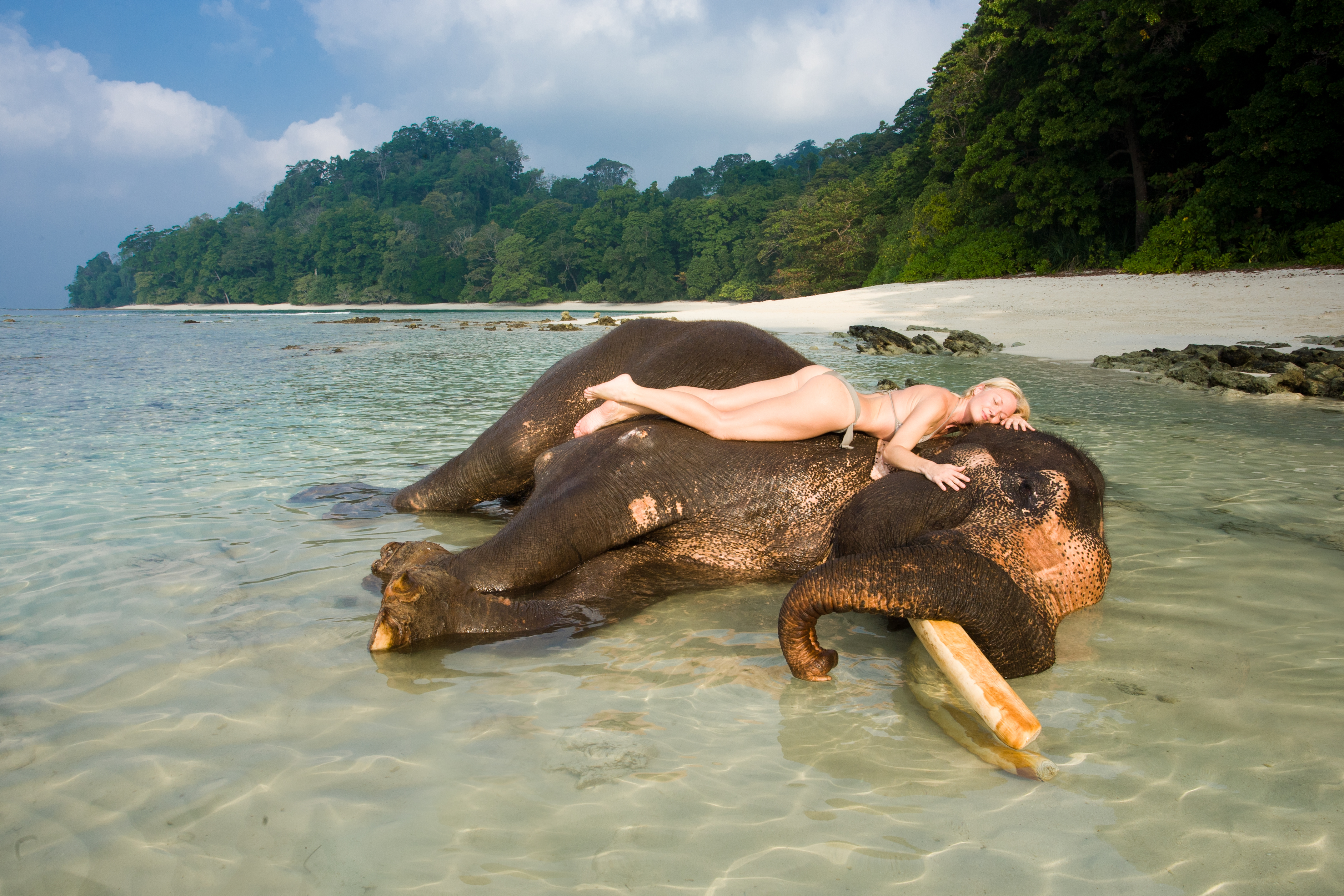 Андаманские острова животные