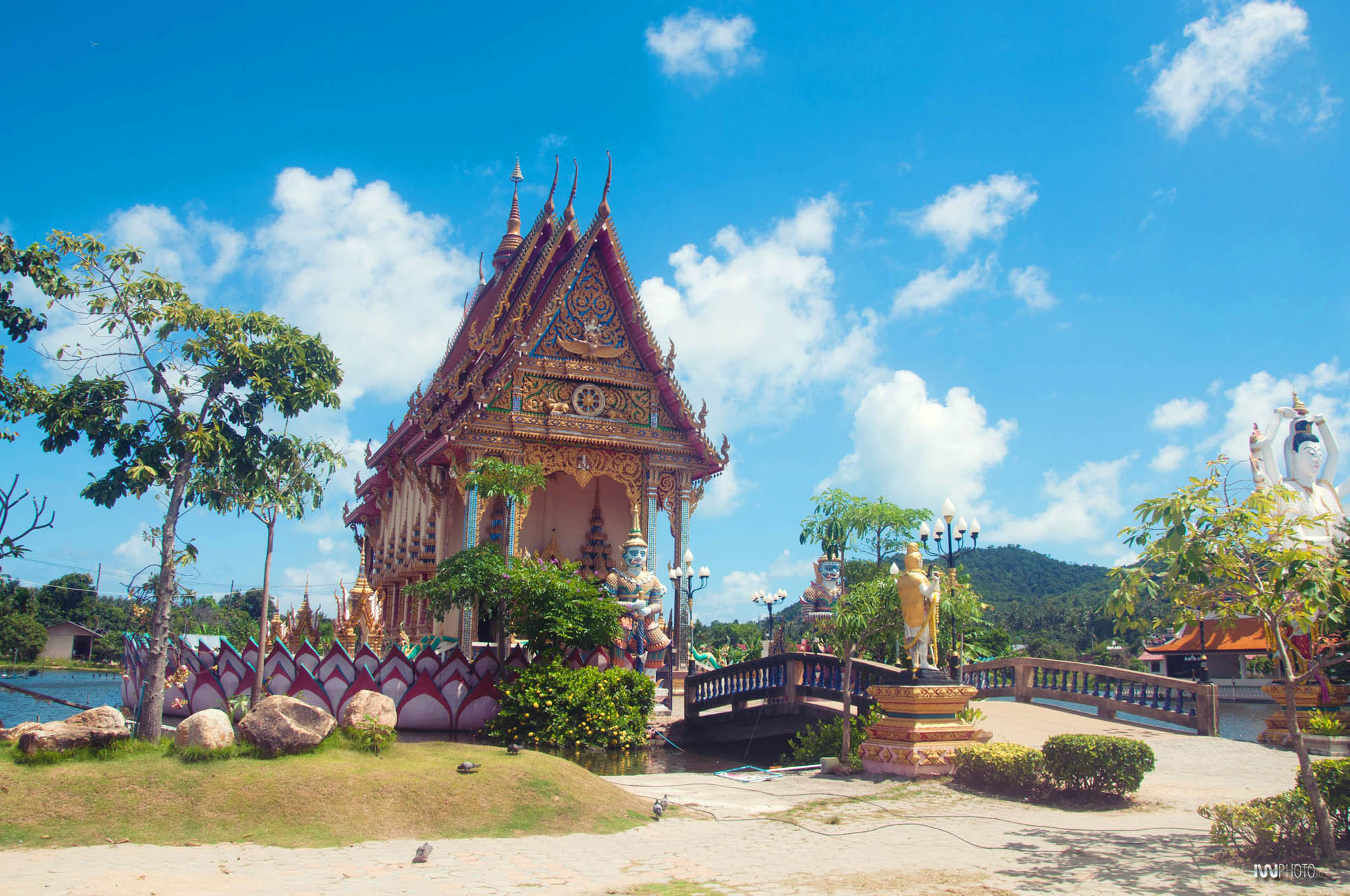 Тайланд самуи. Самуи остров в Тайланде. Koh Samui Thailand. Чавенг Таиланд. Остров Самуи в Тайланде фото.